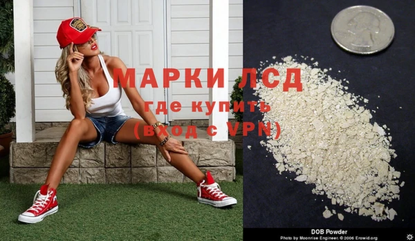 ГАЛЛЮЦИНОГЕННЫЕ ГРИБЫ Аркадак