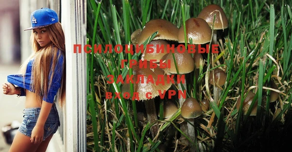 ГАЛЛЮЦИНОГЕННЫЕ ГРИБЫ Аркадак
