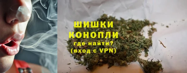 PSILOCYBIN Армянск
