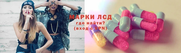 ПСИЛОЦИБИНОВЫЕ ГРИБЫ Арсеньев