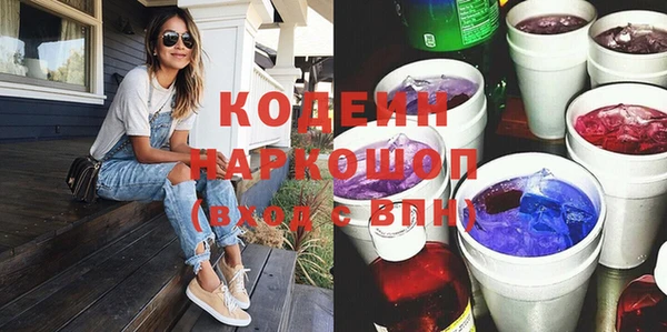 ПСИЛОЦИБИНОВЫЕ ГРИБЫ Арсеньев
