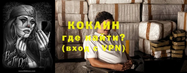 ГАЛЛЮЦИНОГЕННЫЕ ГРИБЫ Аркадак