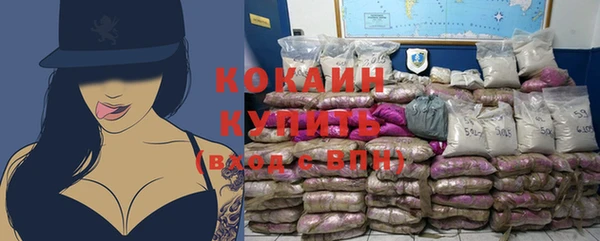 ГАЛЛЮЦИНОГЕННЫЕ ГРИБЫ Аркадак