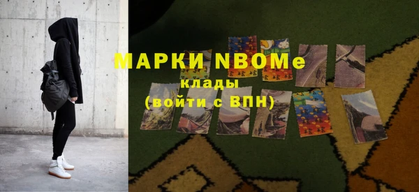 ГАЛЛЮЦИНОГЕННЫЕ ГРИБЫ Аркадак