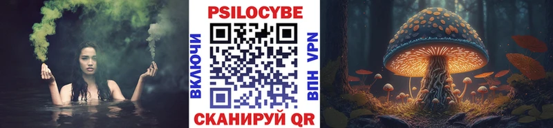 Купить закладки  Мурино  Галлюциногенные грибы Psilocybe 